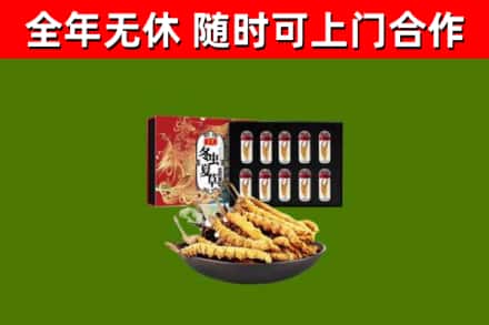 宜秀回收冬虫夏草价格