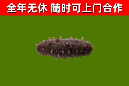 宜秀烟酒回收干海参.jpg